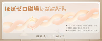 Rihazai 電気毛布 ひざ掛け 電気ブランケット タイマー付 洗える 省エネ 電気敷毛布 電気掛け毛布 敷き 掛け 5段階温度 ラビットファー ポリエステル ふわふわ 丸洗い 180*140cm あったかブランケット PSE認証済 ダニ退治 DRMTYGG002