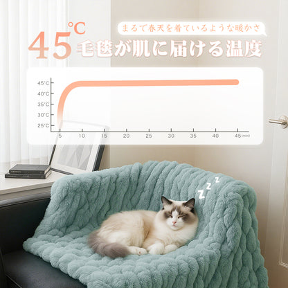 Rihazai 電気毛布 ひざ掛け 電気ブランケット 切タイマー 省エネ シンプル操作 電気敷毛布 電気掛け毛布 敷き 掛け 5段階温度 ポリエステル ふわふわ 丸洗い 170*130cm あったかブランケット PSE認証 ダニ退治 DRMTYGG001