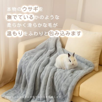 Rihazai 電気毛布 ひざ掛け 電気ブランケット タイマー付 洗える 省エネ 電気敷毛布 電気掛け毛布 敷き 掛け 5段階温度 ラビットファー ポリエステル ふわふわ 丸洗い 180*140cm あったかブランケット PSE認証済 ダニ退治 DRMTYGG002