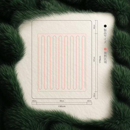 Rihazai 電気毛布 ひざ掛け 電気ブランケット 切タイマー 省エネ シンプル操作 電気敷毛布 電気掛け毛布 敷き 掛け 5段階温度 ポリエステル ふわふわ 丸洗い 170*130cm あったかブランケット PSE認証 ダニ退治 DRMTYGG001